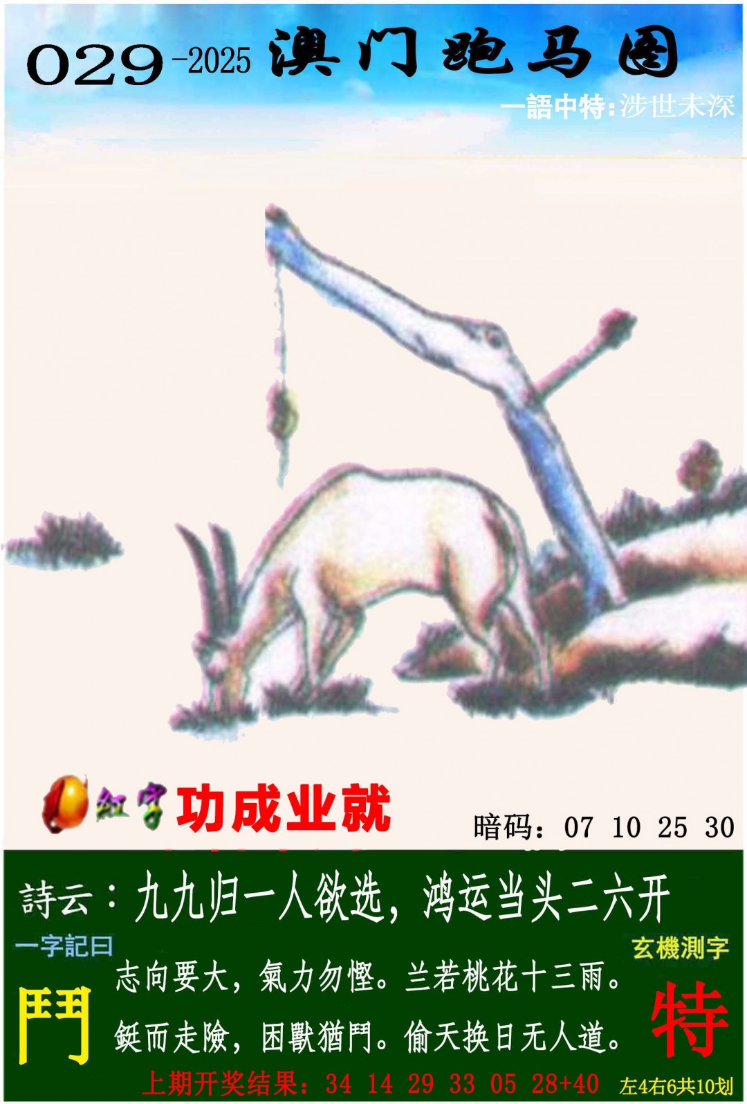 2025029期跑马图