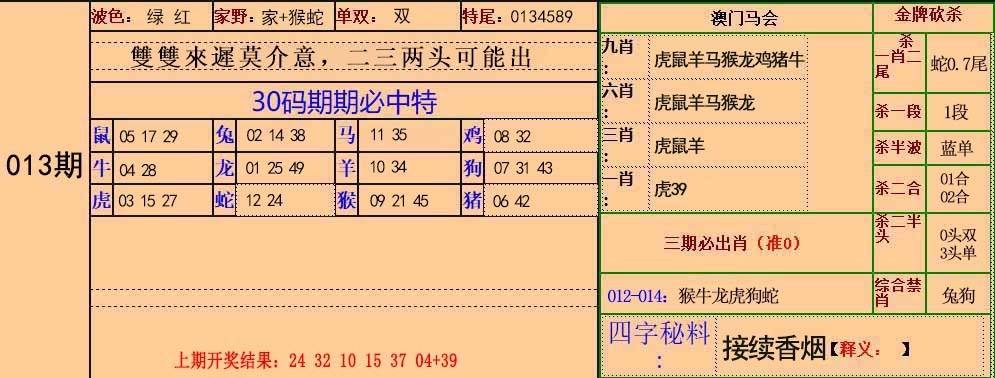 2025013期30码中特