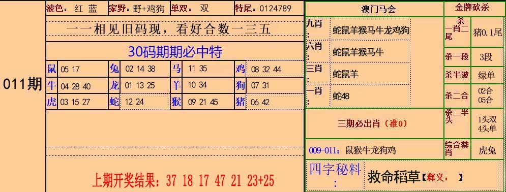 2025011期30码中特