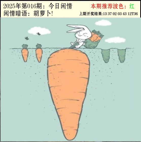 2025016期今日闲情2