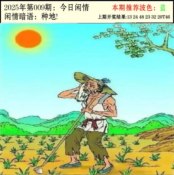 2025009期今日闲情2
