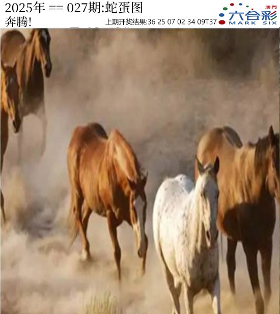2025027期正版蛇蛋图