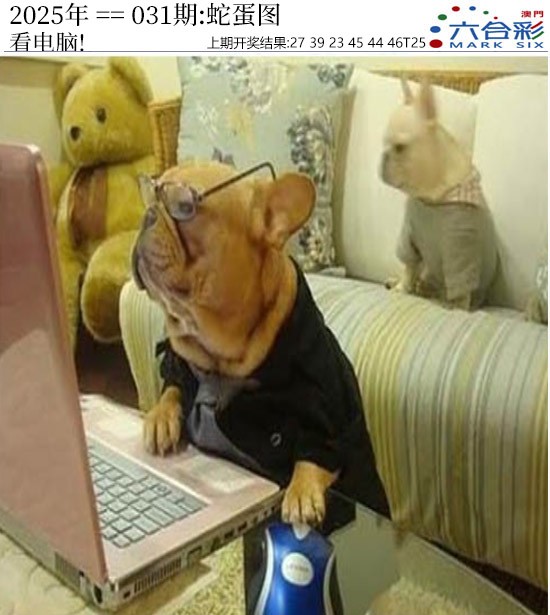 2025031期正版蛇蛋图