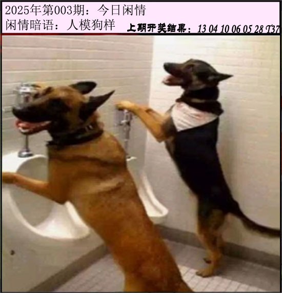2025003期今日闲情