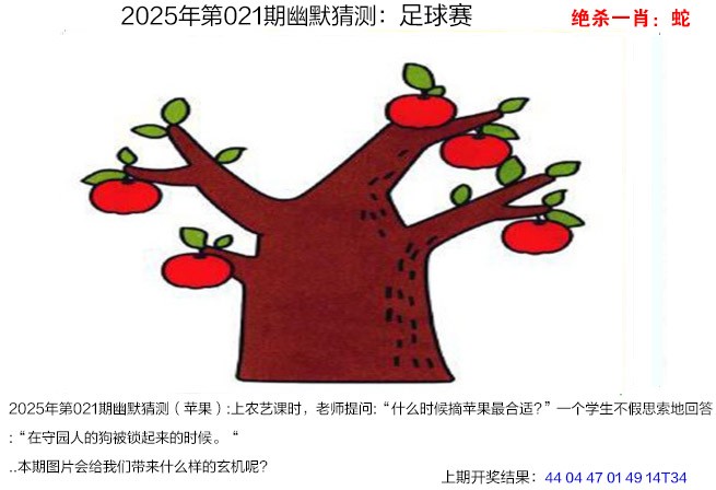 2025021期幽默猜测