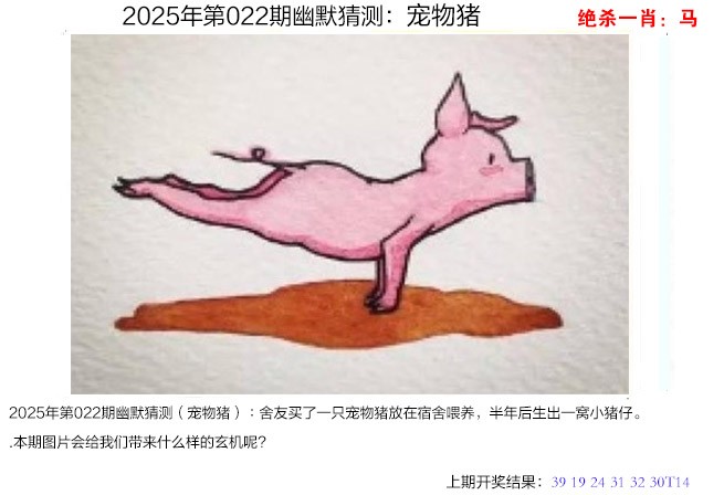 2025022期幽默猜测