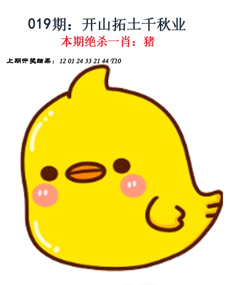 2025019期金钱豹自有真功夫