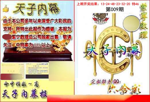 2025009期天子内幕报B