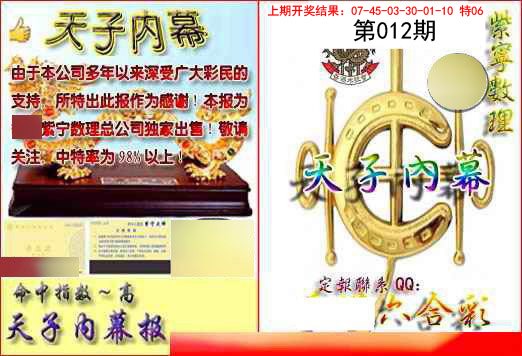2025012期天子内幕报B