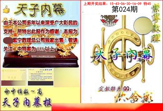 2025024期天子内幕报B
