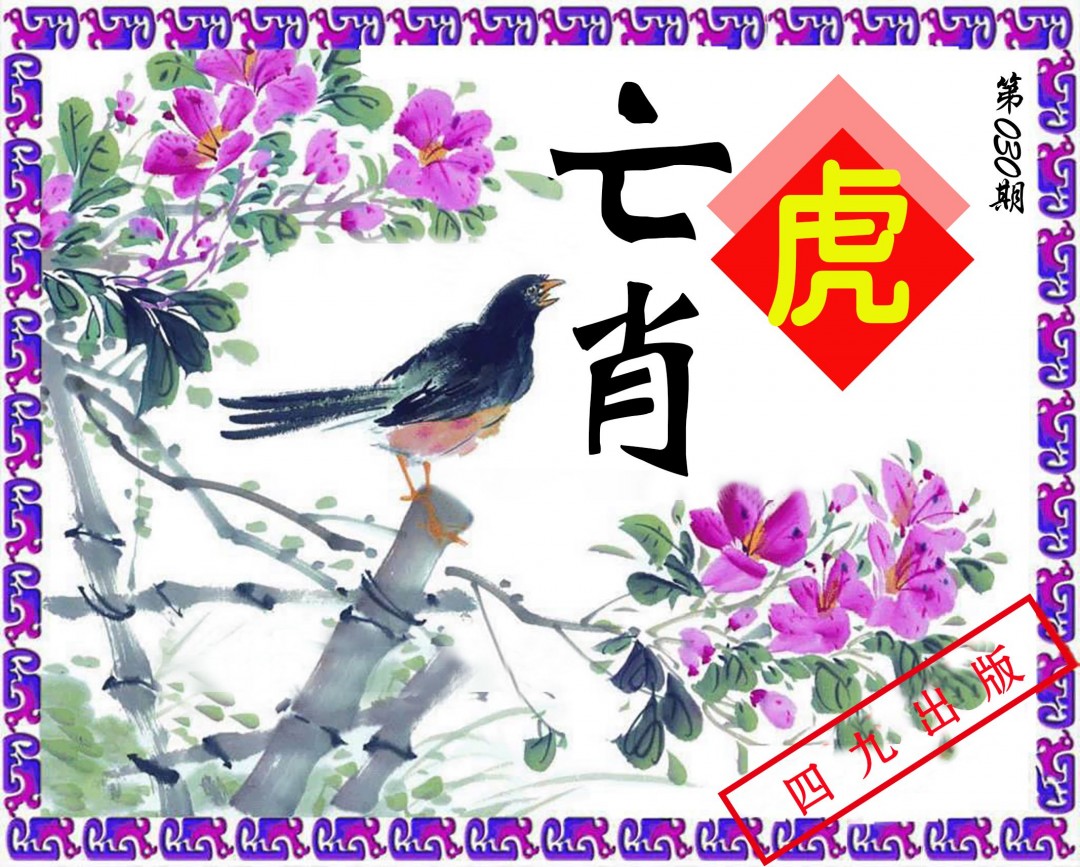 2025030期神鸟版