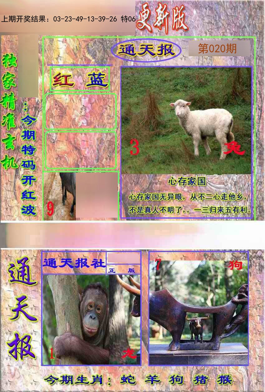2025020期新通报