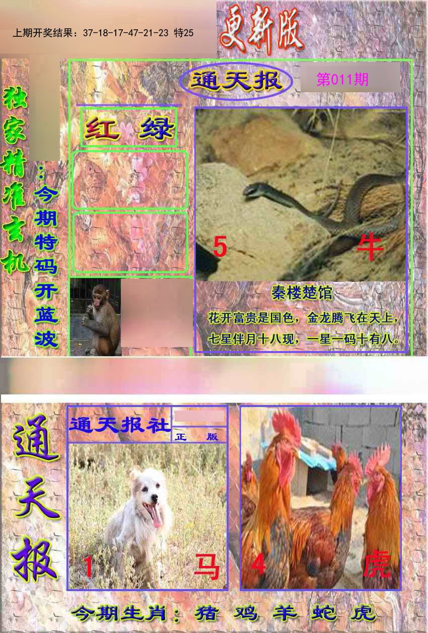 2025011期新通报