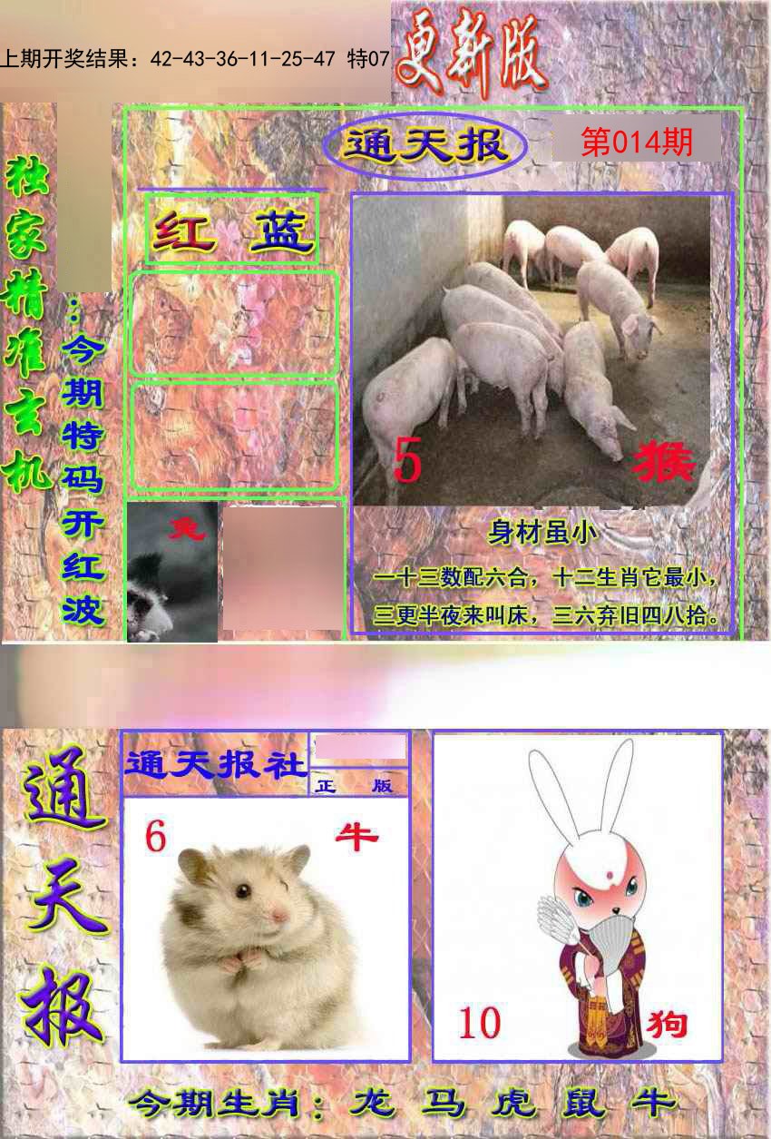 2025014期新通报