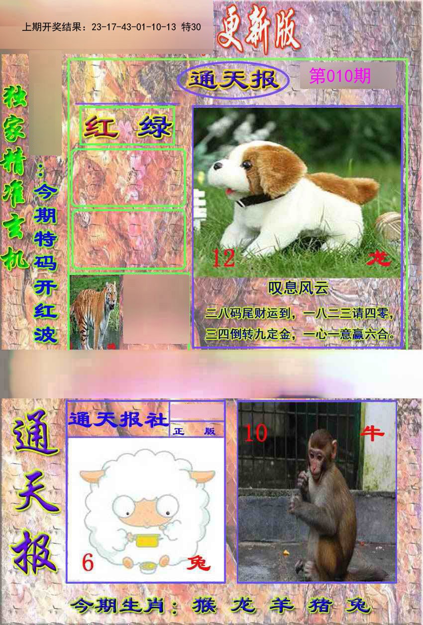 2025010期新通报