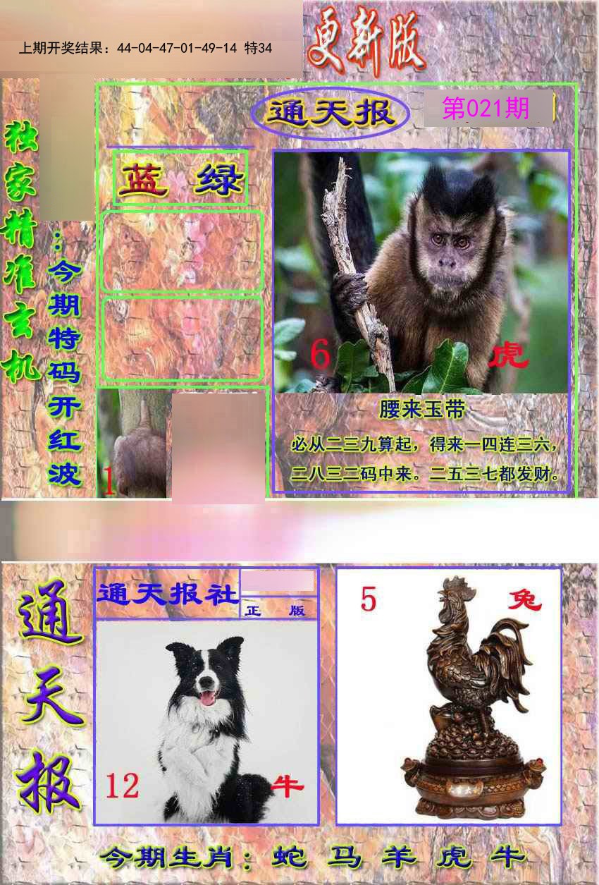 2025021期新通报