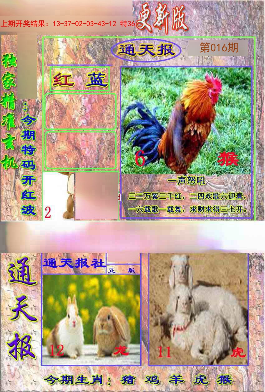 2025016期新通报