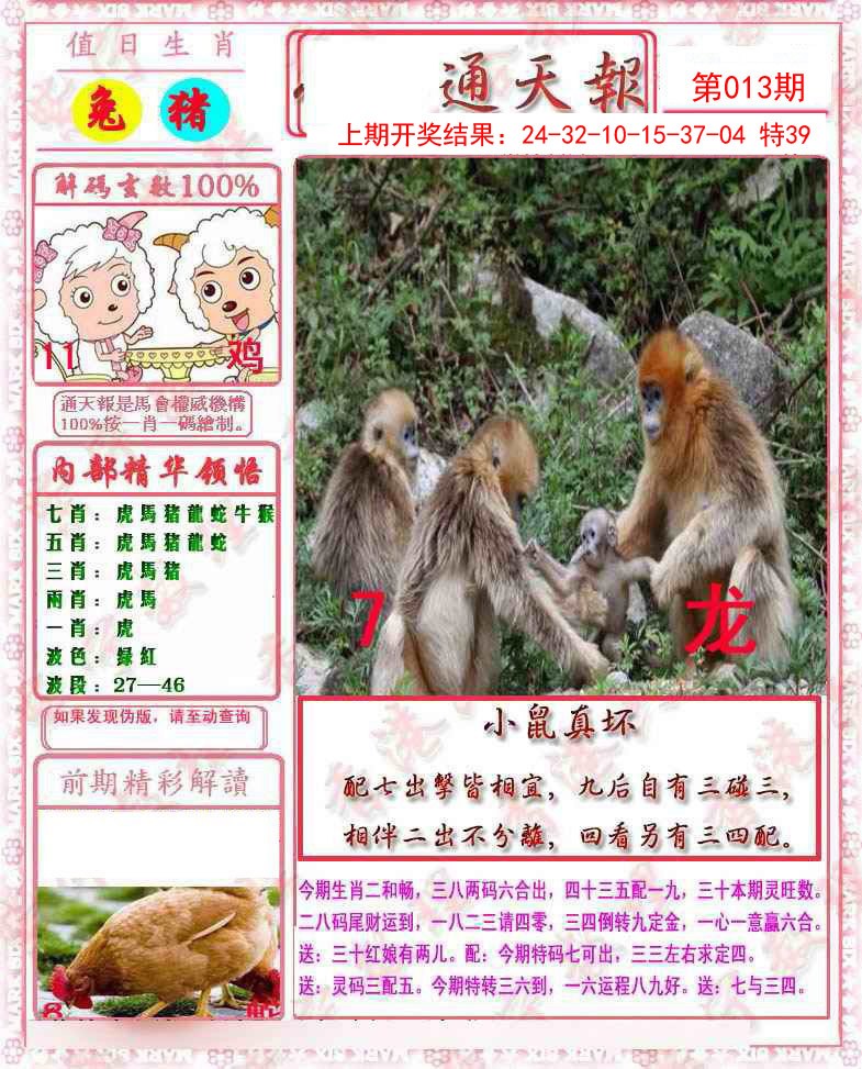 2025013期马经通天报