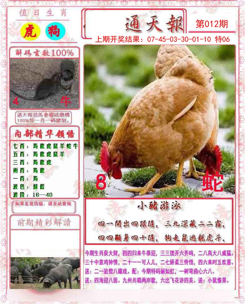 2025012期马经通天报
