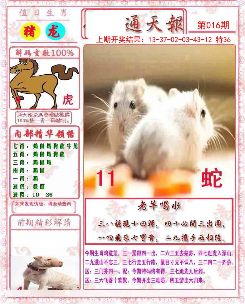 2025016期马经通天报