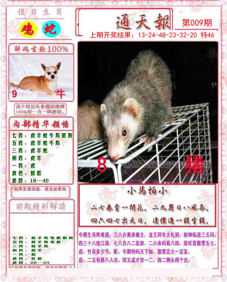 2025009期马经通天报
