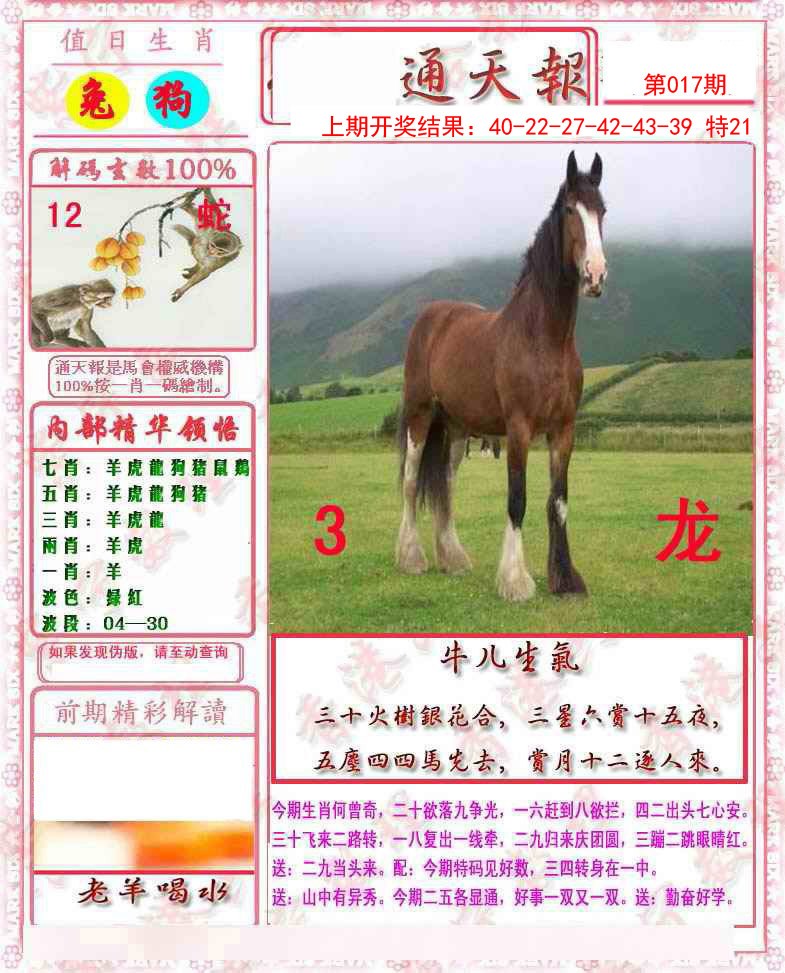 2025017期马经通天报