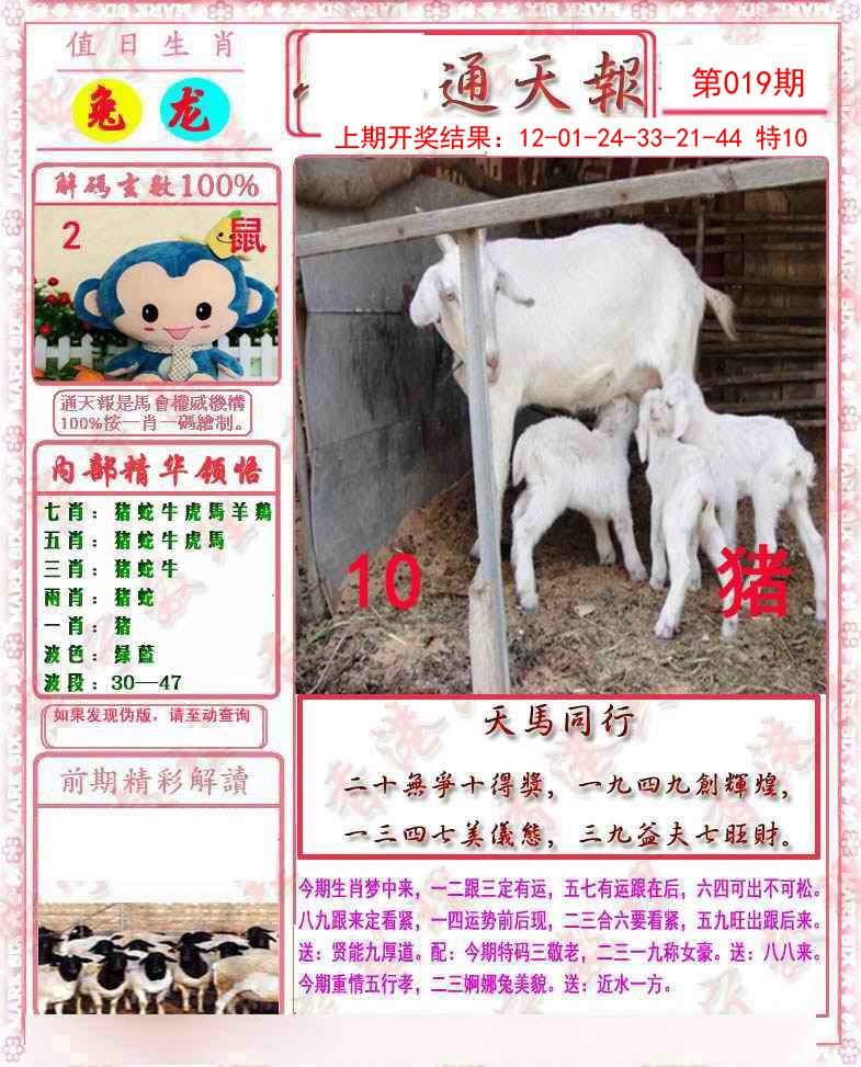 2025019期马经通天报