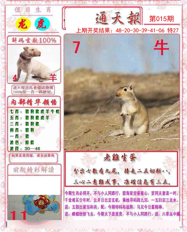 2025015期马经通天报