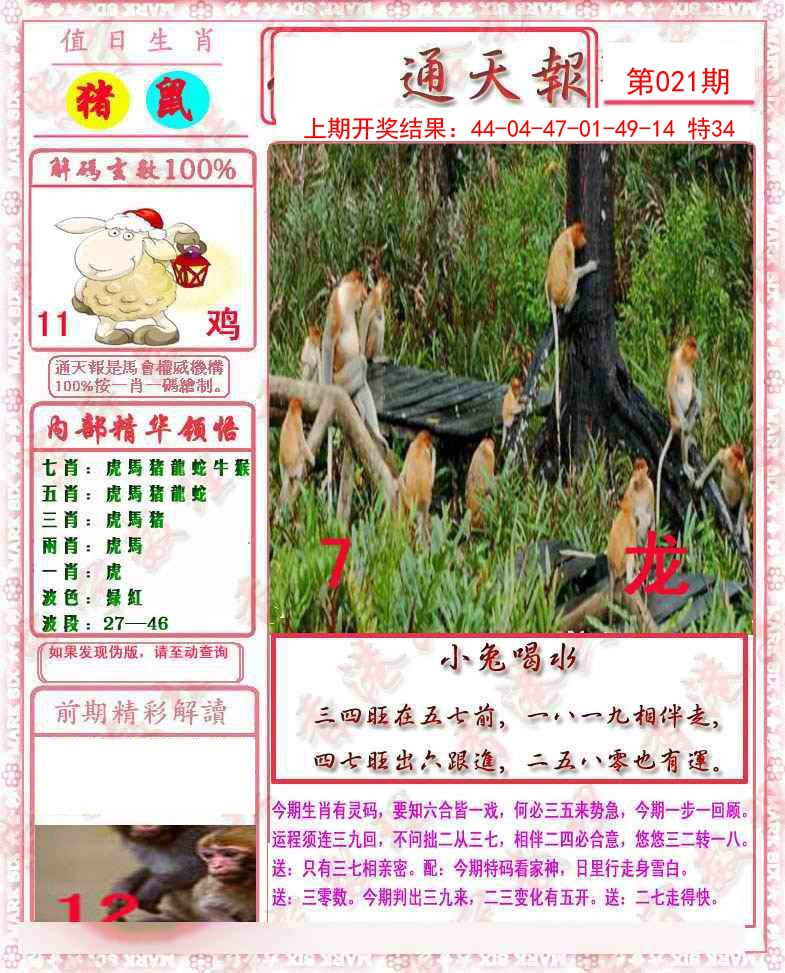 2025021期马经通天报
