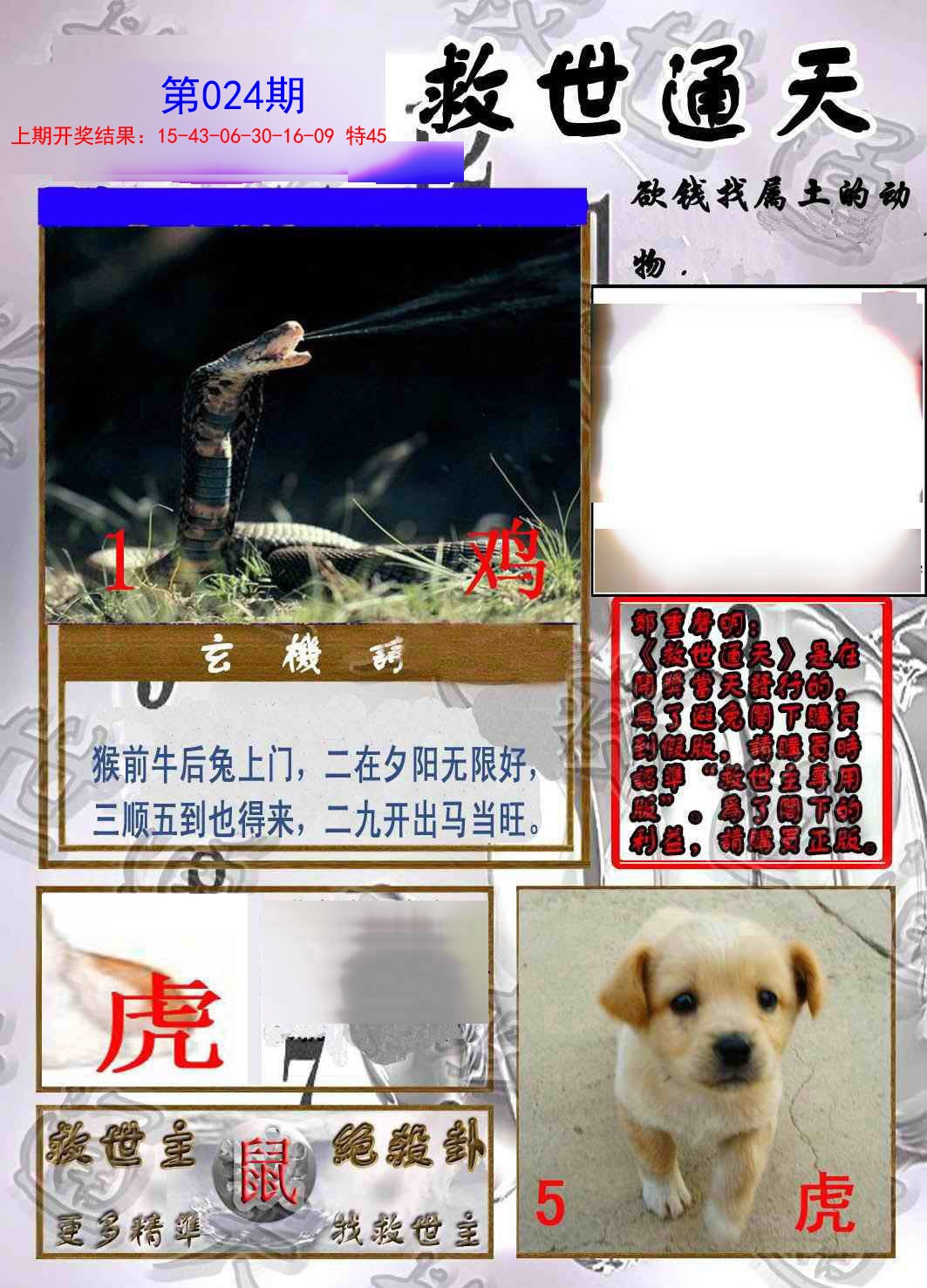 2025024期救世通天报