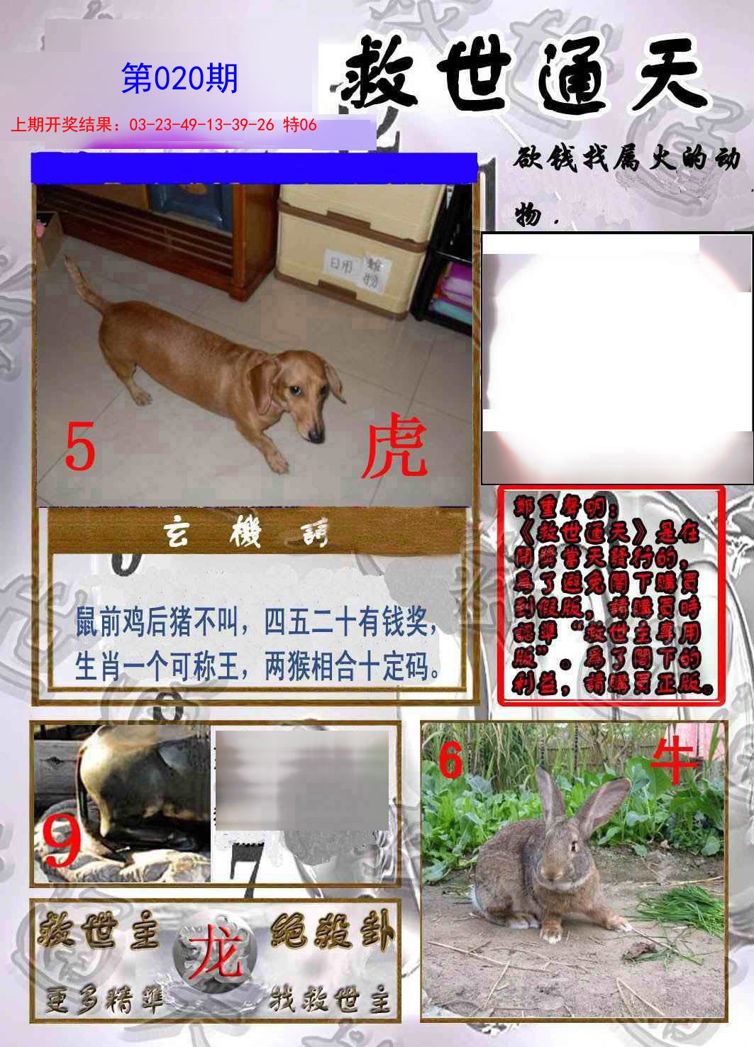 2025020期救世通天报