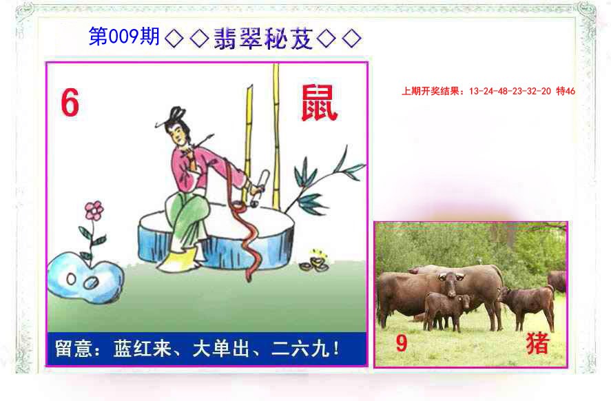 2025009期翡翠报
