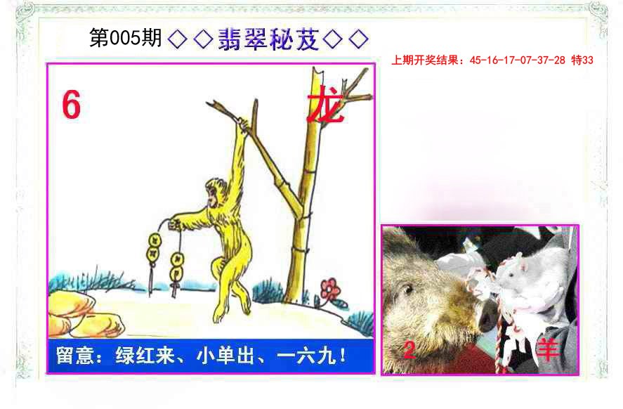 2025005期翡翠报