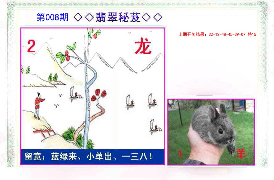 2025008期翡翠报