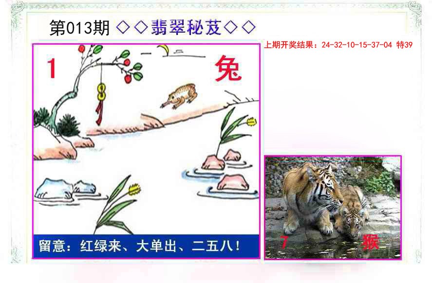 2025013期翡翠报