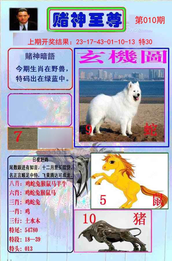 2025010期赌神至尊