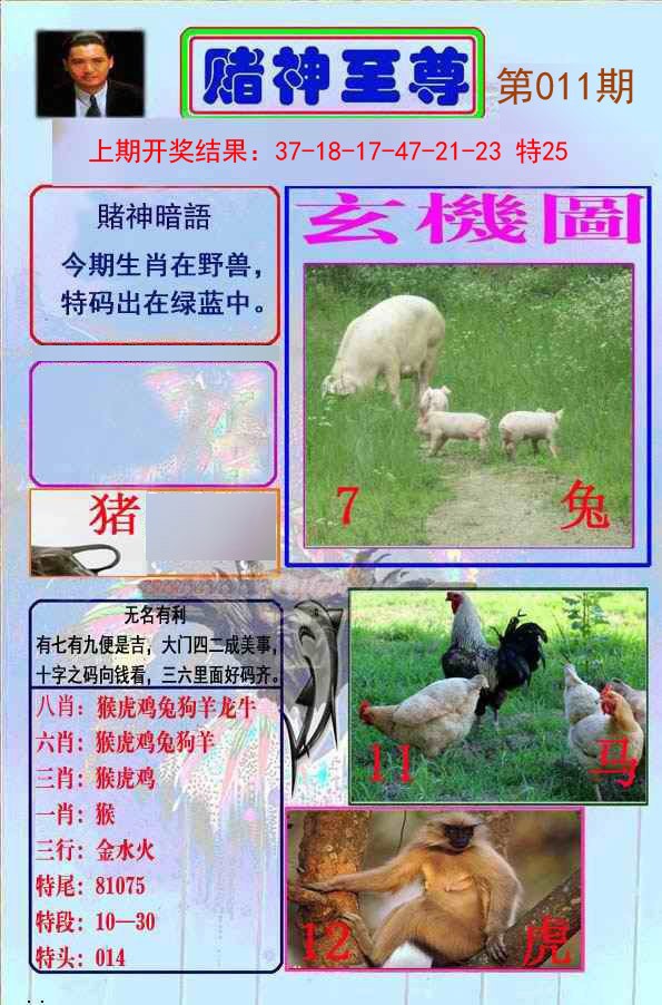 2025011期赌神至尊