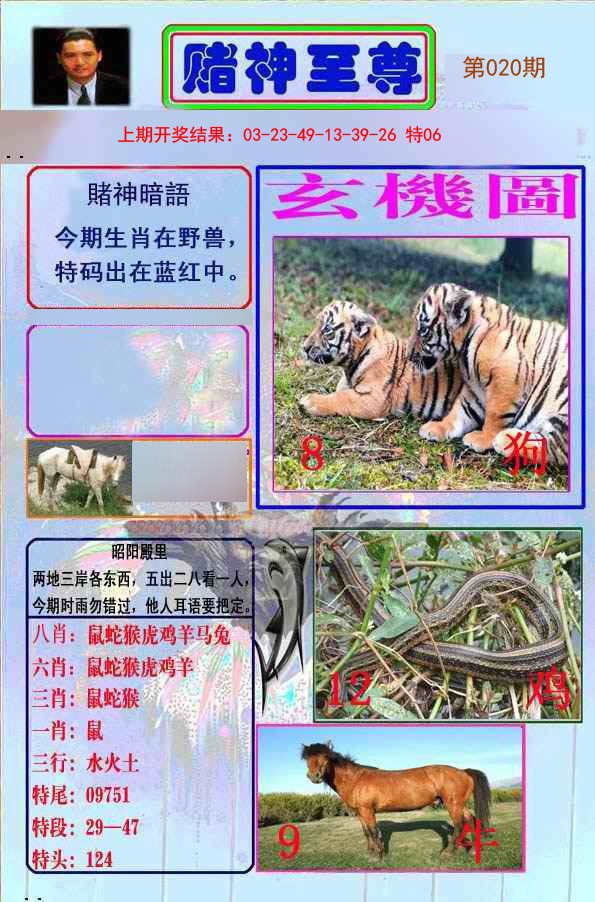 2025020期赌神至尊