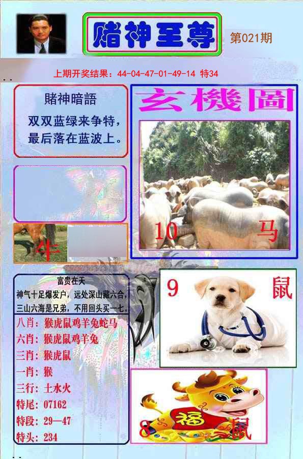 2025021期赌神至尊