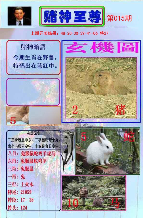 2025015期赌神至尊