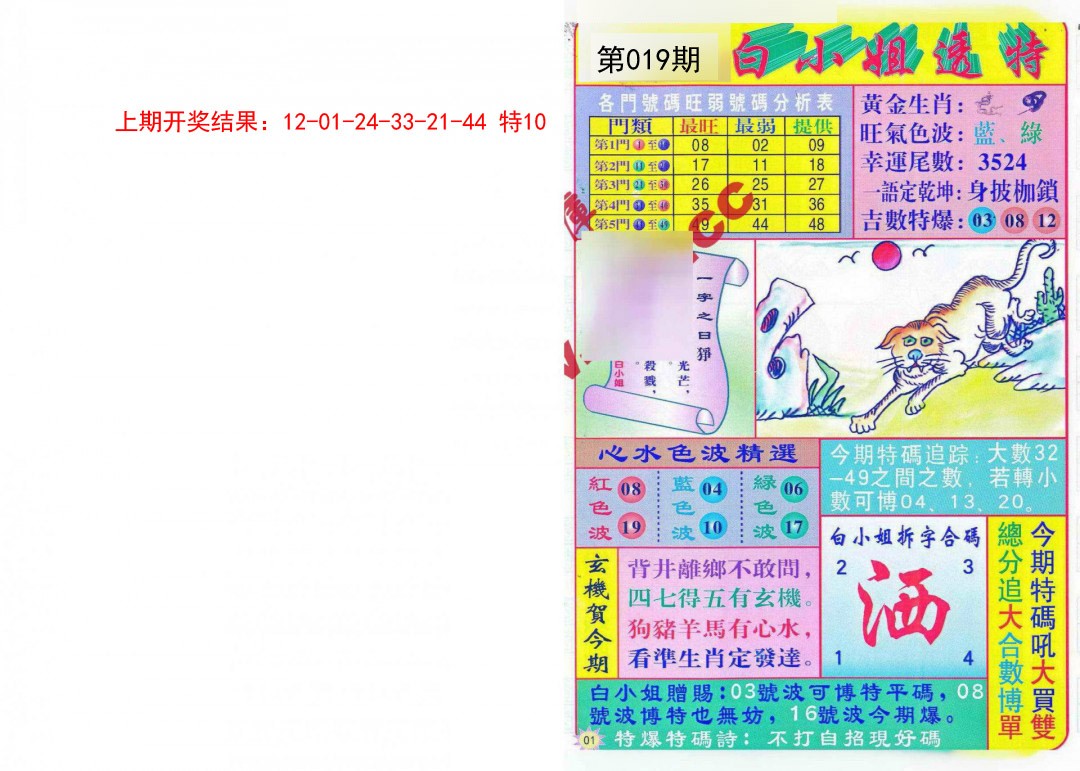 2025019期白小姐透特
