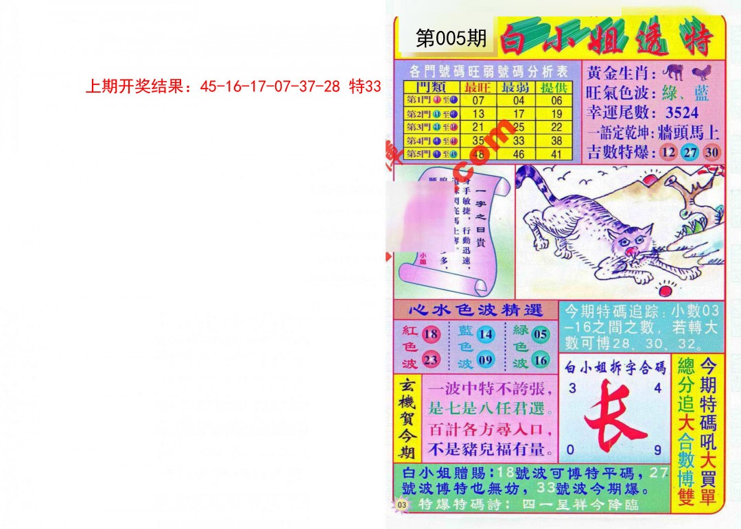2025005期白小姐透特