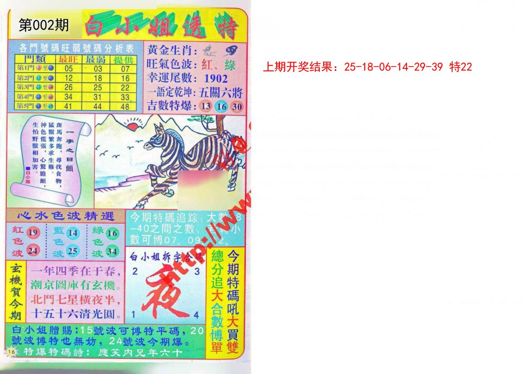 2025002期白小姐透特