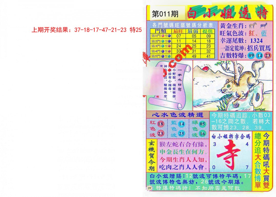 2025011期白小姐透特