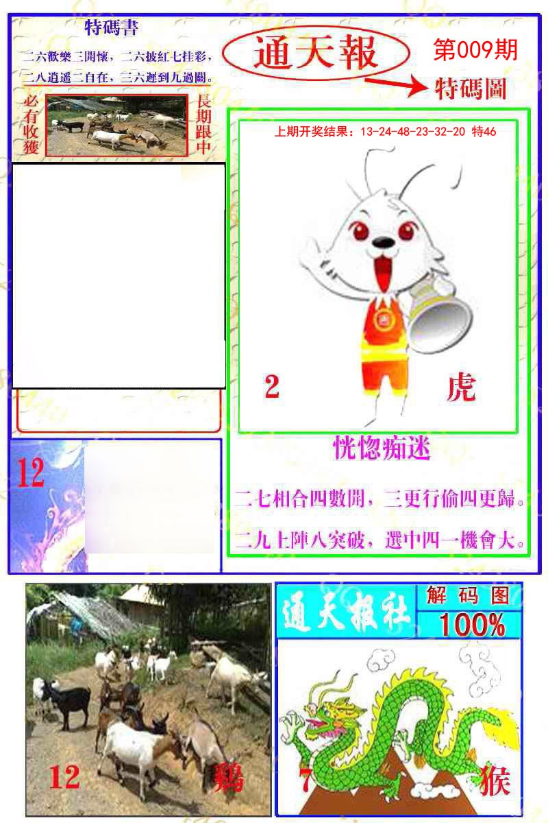 2025009期通天特解图