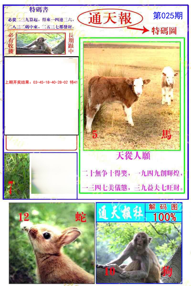 2025025期通天特解图