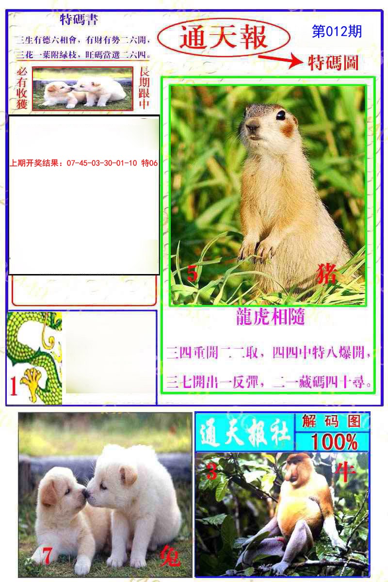 2025012期通天特解图