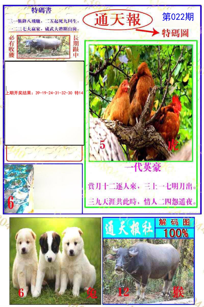 2025022期通天特解图