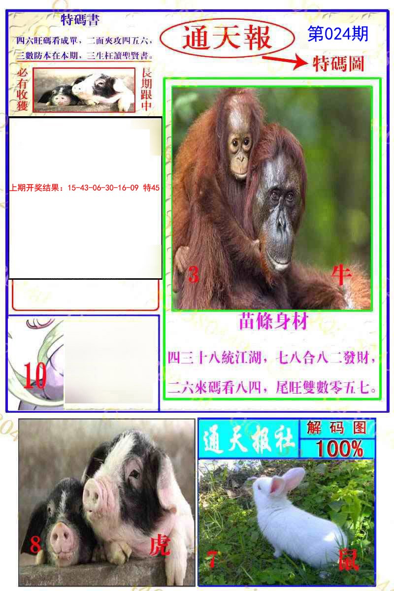 2025024期通天特解图
