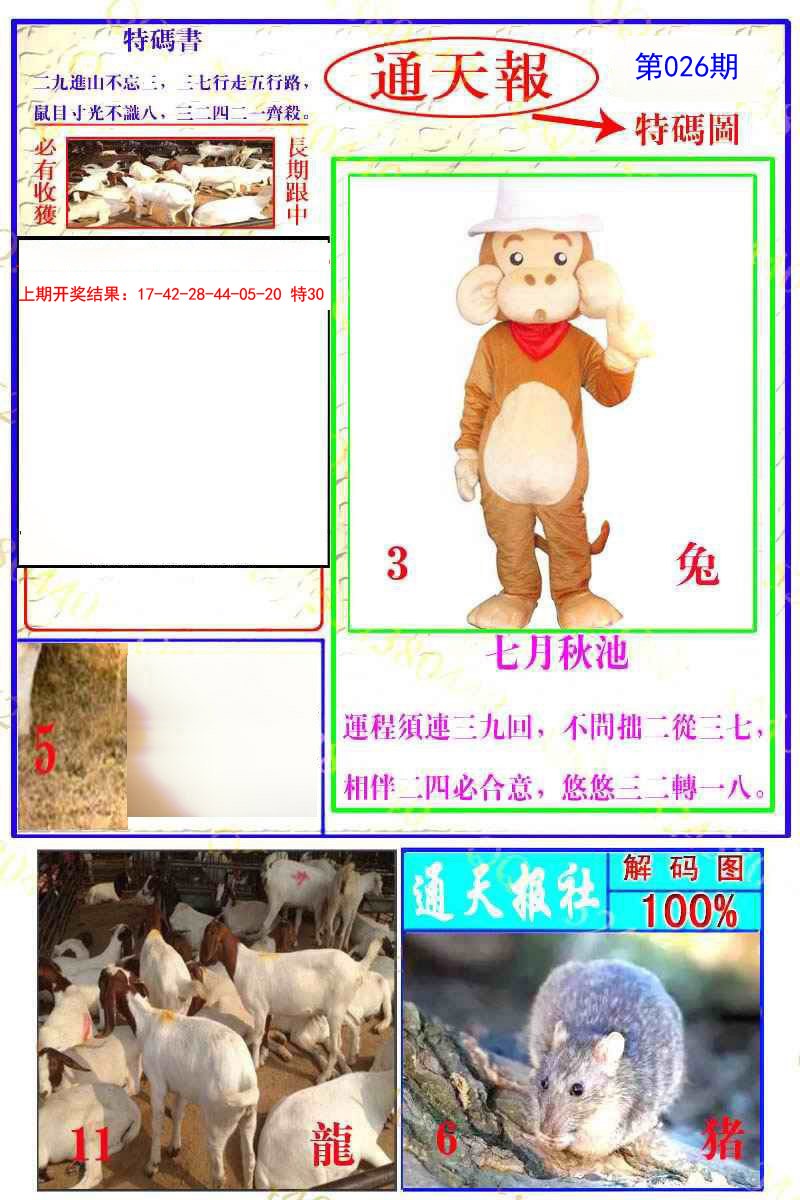 2025026期通天特解图